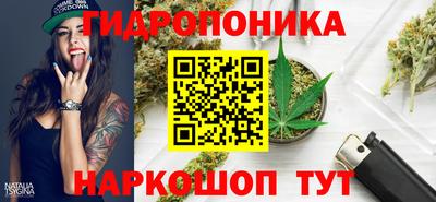 бошки Гусев