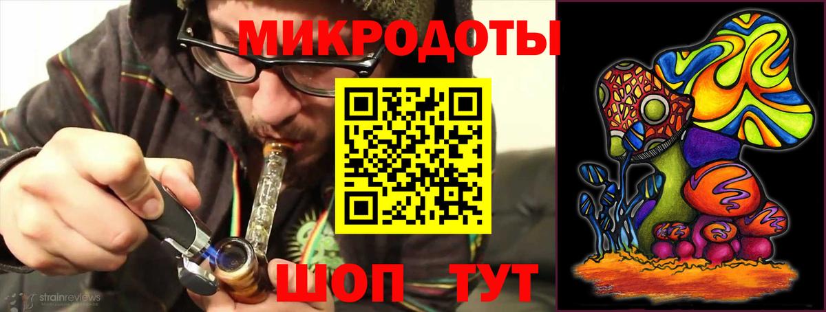 Псилоцибиновые грибы Psilocybine cubensis Тольятти