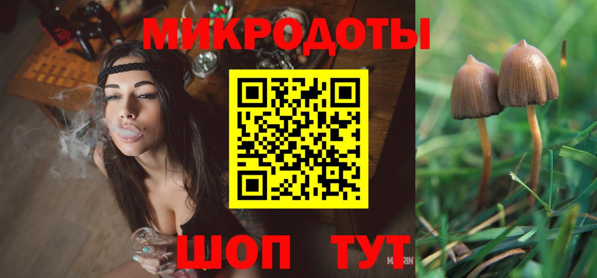 Галлюциногенные грибы MAGIC MUSHROOMS  Вход с VPN  Тольятти  Псилоцибиновые грибы Psilocybe 